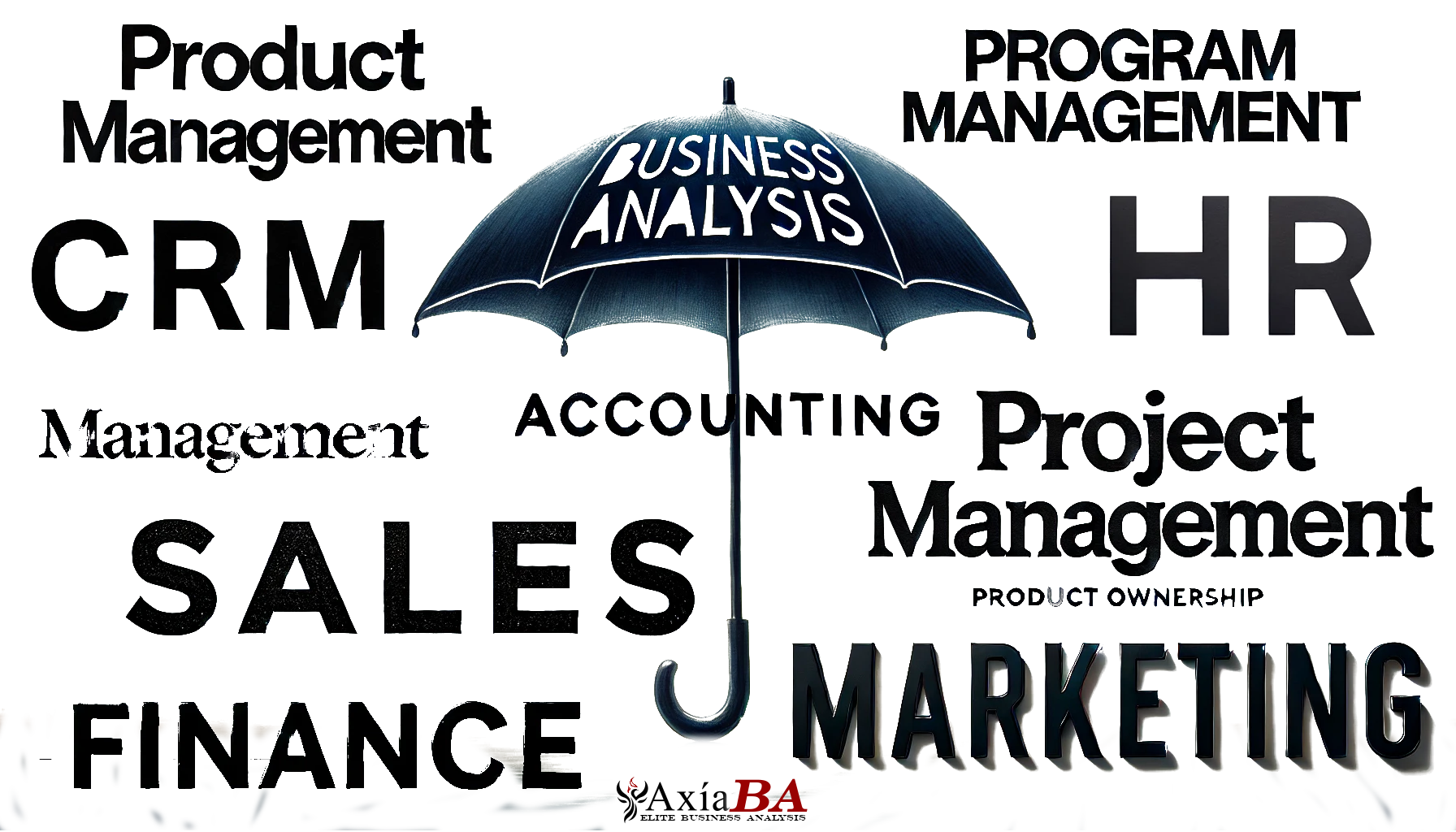 AxiaBA Consulting